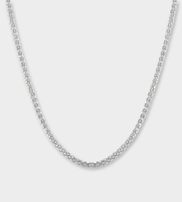 a silver chain on a white background