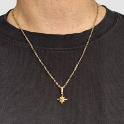 שרשרת כוכב הצפון זהב 4 שרשרת כוכב הצפון זהב 4