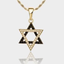 שרשרת מגן דוד כסף 925 זהב 1 שרשרת מגן דוד כסף 925 זהב 1
